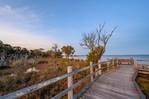 31/15 Kardan Loop, Falcon, WA 6210 AUS