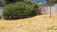 32 Casuarina Drive, HALLS HEAD, WA 6210 AUS