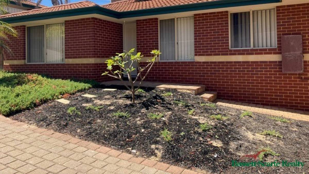 10 Valley Road, Halls Head, WA 6210 AUS