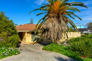 19 Leander Street, Falcon, WA 6210 AUS