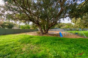 11 Lynda Street, FALCON, WA 6210 AUS