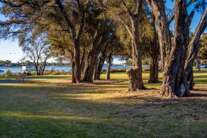 12/11 Leslie Street, Dudley Park, WA 6210 AUS