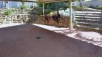 4 Selloa Court, Halls Head, WA 6210 AUS