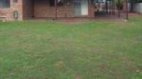 16 Flavia Street, Falcon, WA 6210 AUS