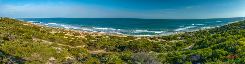 14 Oceanic Drive, Dawesville - Thumbnail 7