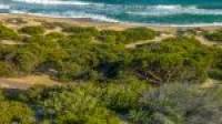 14 Oceanic Drive, Dawesville, WA 6211 AUS
