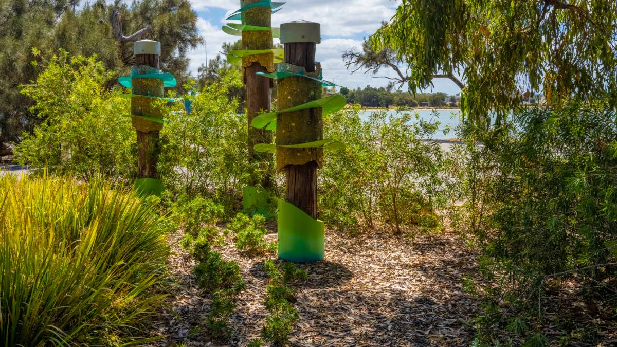 59 Sticks Boulevard, Erskine, WA 6210 AUS