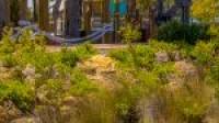 59 Sticks Boulevard, Erskine, WA 6210 AUS