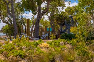 59 Sticks Boulevard, Erskine, WA 6210 AUS
