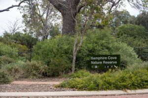 59 Sticks Boulevard, Erskine, WA 6210 AUS
