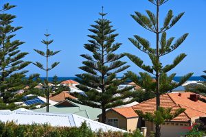 88 Baloo Crescent, WANNANUP, WA 6210 AUS