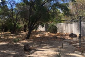 6 Crusader Street, FALCON, WA 6210 AUS