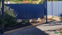 36 Myerick Street, Mandurah, WA 6210 AUS