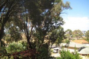 4 Hill Street, HALLS HEAD, WA 6210 AUS